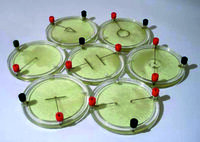 Демонстрационный комплект «Силовые линии электрического поля разных систем зарядов» - fgospostavki.ru - Минусинск