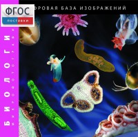Биология. Микрофотографии. (Цифровая база изображений) - fgospostavki.ru - Минусинск