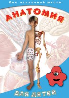 DVD "Анатомия для детей" - fgospostavki.ru - Минусинск