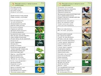 Комплект карточек (10) "Обучающий калейдоскоп. Природа" - fgospostavki.ru - Минусинск