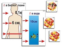 Модель-аппликация "Явление радиоактивности" (ламинированная) - fgospostavki.ru - Минусинск