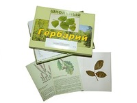 Гербарий "Дикорастущие растения" (30 видов, с иллюстрациями) - fgospostavki.ru - Минусинск