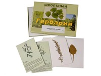 Гербарий "Лекарственные растения" (22 вида с иллюстрациями) - fgospostavki.ru - Минусинск
