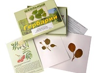 Гербарий "Систематика растений. Семейство Розоцветные" (раздаточный) - fgospostavki.ru - Минусинск