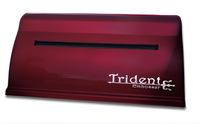 Принтер для печати рельефно-точечным шрифтом Брайля Trident - fgospostavki.ru - Минусинск