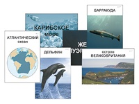 Модель-аппликация "Океаны. Знакомство" (ламинированная) - fgospostavki.ru - Минусинск