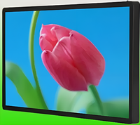 Киоск информационный настенный сенсорный 27" (вариант 1) - fgospostavki.ru - Минусинск