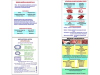 Плакаты ПРОФТЕХ "Классификации и виды мяса" (4 пл, винил, 70х100) - fgospostavki.ru - Минусинск