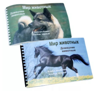 Пособие для слабовидящих - Домашние животные - fgospostavki.ru - Минусинск