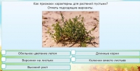 Интерактивные курсы. Окружающий мир 3 класс . Базовый. - fgospostavki.ru - Минусинск