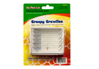 Набор микропрепаратов для микроскопа №2 «Насекомые» - fgospostavki.ru - Минусинск