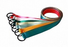 Лента гимнастическая на кольце (0,5 метра) - fgospostavki.ru - Минусинск