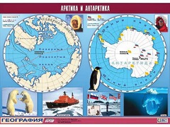 Таблица демонстрационная "Арктика и Антарктика" (винил 100*140) - fgospostavki.ru - Минусинск
