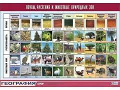 Таблица демонстрационная "Почвы, растения и животные природных зон" (винил 70*100) - fgospostavki.ru - Минусинск