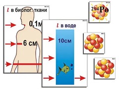 Модель-аппликация "Явление радиоактивности" (ламинированная) - fgospostavki.ru - Минусинск