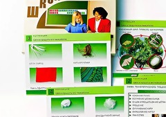 Коллекция "Шелк и продукты его переработки" (средняя школа) - fgospostavki.ru - Минусинск