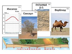 Модель-аппликация "Природные зоны" - fgospostavki.ru - Минусинск