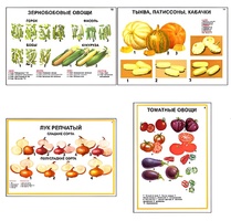 Плакаты ПРОФТЕХ "Ассортимент овощных культур" (12 пл, винил, 70х100) - fgospostavki.ru - Минусинск