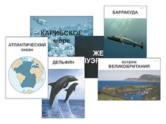Модель-аппликация "Океаны. Знакомство" (ламинированная) - fgospostavki.ru - Минусинск