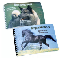 Пособие для слабовидящих - Домашние животные - fgospostavki.ru - Минусинск