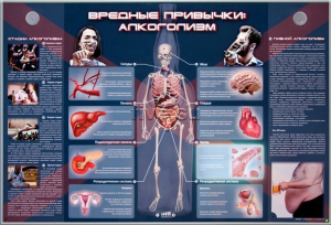Электрифицированный стенд "Вредные привычки: алкоголизм" - fgospostavki.ru - Минусинск