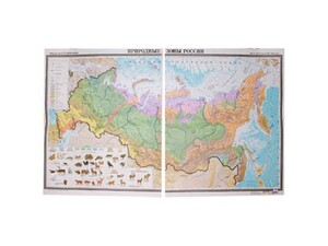 Учебная карта "Природные зоны России"  - fgospostavki.ru - Минусинск