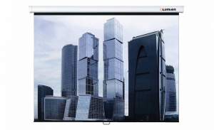 Настенный проекционный экран Lumien Eco Picture (LEP-100101) 150x150 см - fgospostavki.ru - Минусинск