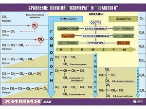 Таблица демонстрационная "Сравнение понятий изомер и гомолог" (винил 70x100) - fgospostavki.ru - Минусинск