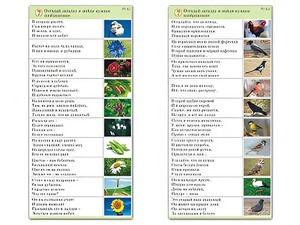 Комплект карточек (10) "Обучающий калейдоскоп. Природа" - fgospostavki.ru - Минусинск