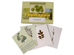 Гербарий "Деревья и кустарники" (22 вида, с иллюстрациями) - fgospostavki.ru - Минусинск
