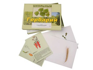 Гербарий "Культурные растения" (30 видов, с иллюстрациями) - fgospostavki.ru - Минусинск