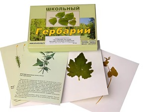 Гербарий "Систематика растений. Высшие споровые и семенные" (раздаточный) - fgospostavki.ru - Минусинск