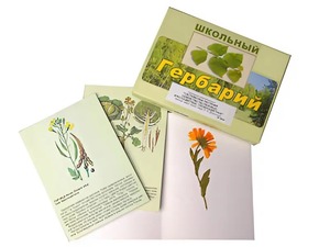 Гербарий "Систематика растений. Семейство Пасленовые. Крестоцветные. Сложноцветные" (раздаточный) - fgospostavki.ru - Минусинск