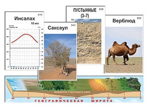 Модель-аппликация "Природные зоны" - fgospostavki.ru - Минусинск