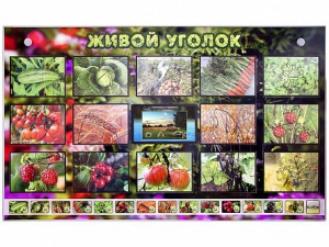 Комплект оборудования "Живой уголок" (растения) с тифлопереводом и сурдокомментариями - fgospostavki.ru - Минусинск