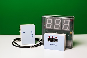 Датчик массы 200 г с независимой индикацией (весы с USB-переходником) - fgospostavki.ru - Минусинск
