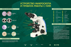Электрифицированный стенд "Устройство микроскопа и правила работы c ним" - fgospostavki.ru - Минусинск