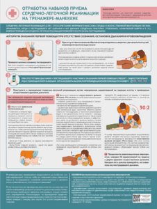 Стенд "Отработка приемов сердечно-легочной реанимации на тренажере-манекене" - fgospostavki.ru - Минусинск