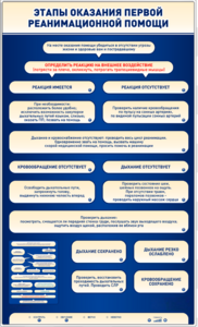 Электрифицированный стенд-тренажер "Этапы оказания первой реанимационной помощи" - fgospostavki.ru - Минусинск