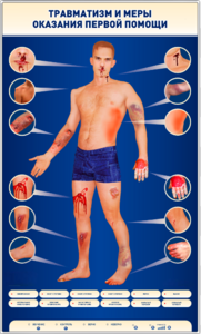 Электрифицированный стенд-тренажер "Травматизм и меры оказания первой помощи" - fgospostavki.ru - Минусинск