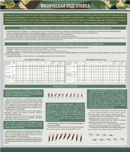 Стенд "Физическая подготовка" - fgospostavki.ru - Минусинск