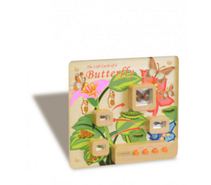 Панель «Жизненный цикл бабочки» - fgospostavki.ru - Минусинск