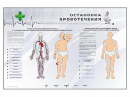 Электрифицированный стенд "Остановка кровотечения" - fgospostavki.ru - Минусинск