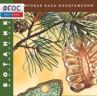 Ботаника. Микрофотографии. (Цифровая база изображений) - fgospostavki.ru - Минусинск