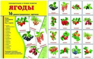 Демонстрационные карточки "Ягоды" - fgospostavki.ru - Минусинск