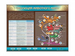 Интерактивный электрифицированный стенд "Эволюция животного мира" - fgospostavki.ru - Минусинск