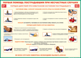 Таблица "Порядок действий при коматозном состоянии пострадавшего" (100х140 сантиметров, винил) - fgospostavki.ru - Минусинск