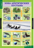 Комплект таблиц. Окружающий мир 4 класс. - fgospostavki.ru - Минусинск