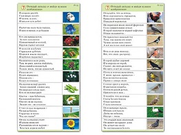 Комплект карточек (10) "Обучающий калейдоскоп. Природа" - fgospostavki.ru - Минусинск