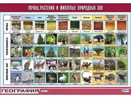 Таблица демонстрационная "Почвы, растения и животные природных зон" (винил 70*100) - fgospostavki.ru - Минусинск